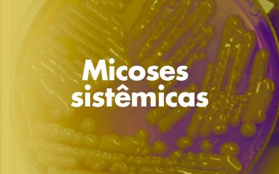 Micoses Sistêmicas em Cães e Gatos